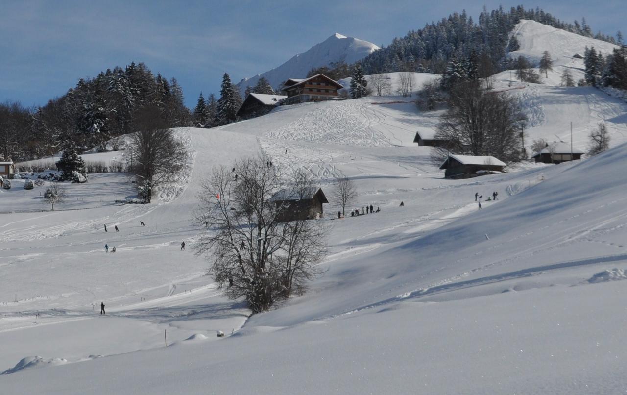 Отель Brunnenmatte Aeschi Bei Spiez Экстерьер фото