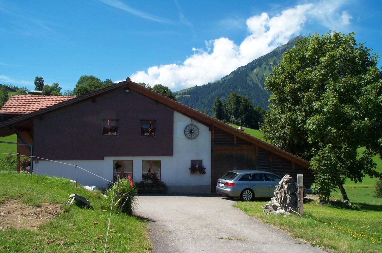 Отель Brunnenmatte Aeschi Bei Spiez Экстерьер фото