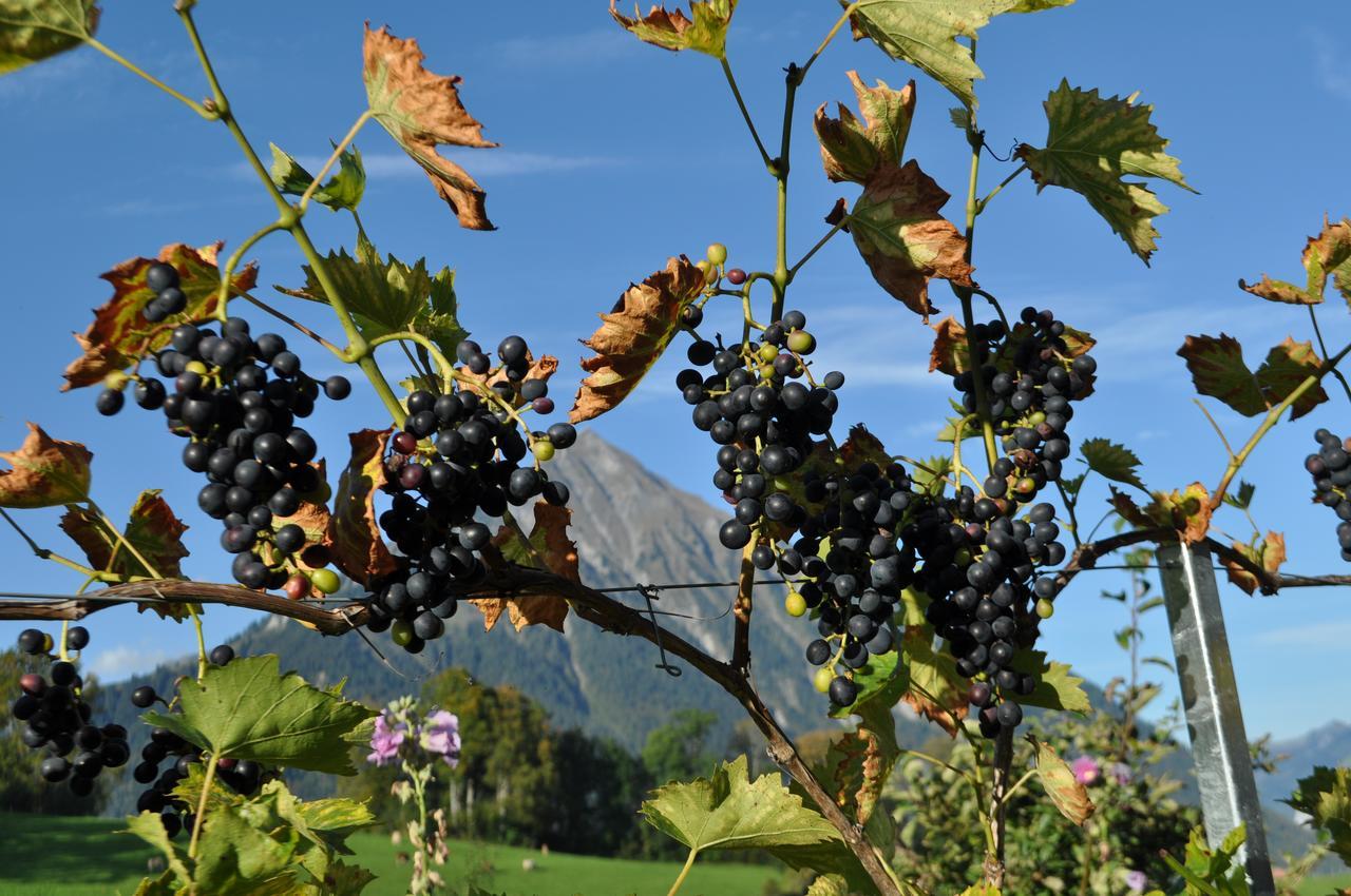 Отель Brunnenmatte Aeschi Bei Spiez Экстерьер фото