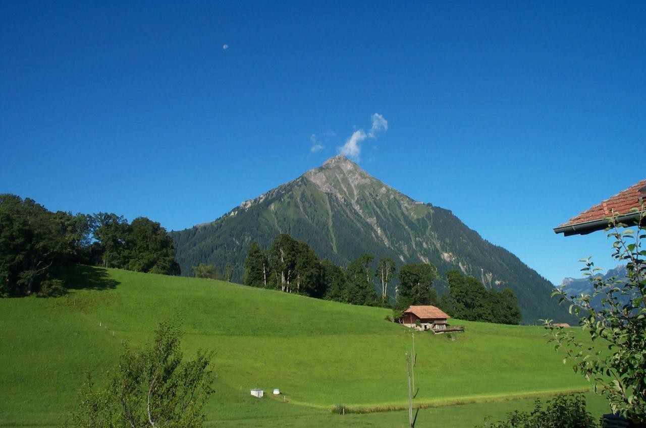 Отель Brunnenmatte Aeschi Bei Spiez Экстерьер фото