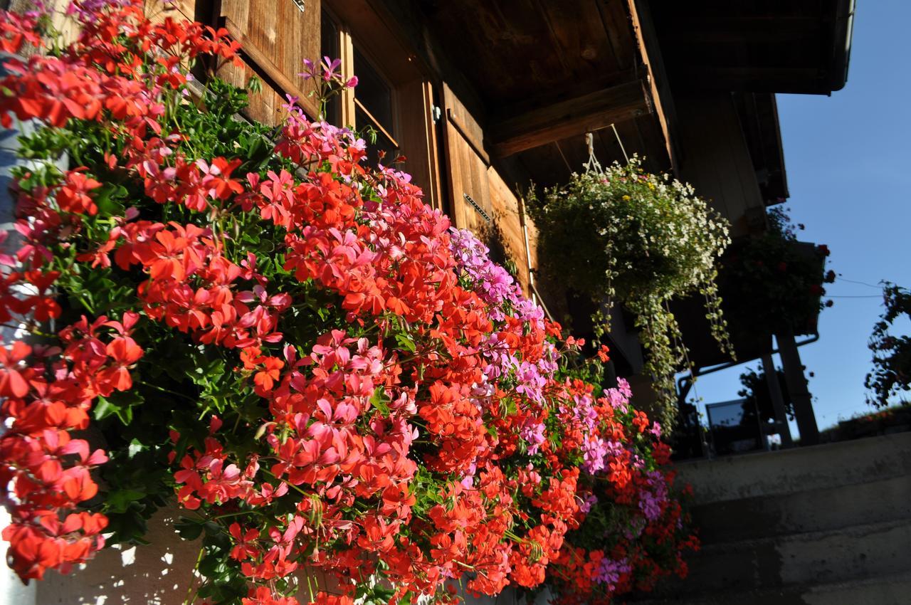 Отель Brunnenmatte Aeschi Bei Spiez Экстерьер фото