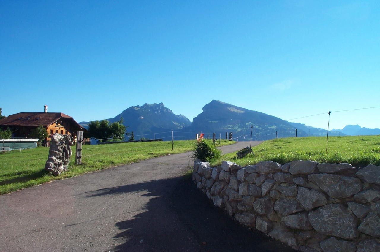 Отель Brunnenmatte Aeschi Bei Spiez Экстерьер фото